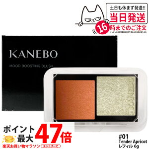 �J�l�{�E ���[�h�u�[�X�e�B���O�u���b�V�� ���t�B�� 6g 01 Tender Apricot ���C�N�A�b�v �`�[�N �p�E�_�[�`�[�N �t�F�[�X�J���[ KANEBO ��������