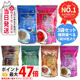 【3個セット 賞味期限28年以降】エステプロラボ ハーブティー プロ 30包 x3袋 G-デトック / キャラメルデトック / Fブロッカー / コラーゲン フェイシャル / ゼロカフェイン / スパ バーニング / Ras Detoc スッキリ 天然素材 オーガニック ハーブティー 国内正規品