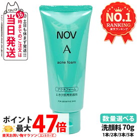 【国内正規品】常盤薬品 NOV ノブ A アクネフォーム 70g 洗顔フォーム 洗顔料 ニキビ肌用 無香料 無着色 低刺激性 医薬部外品 オイルフリー処方 選べる 送料無料