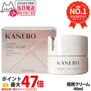 ナイトリピッドウェア kanebo」の人気商品一覧 | 安い商品を通販サイト 