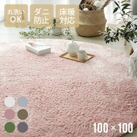 ＜ポイントSALE詳細はページ内バナーから＞ ラグ 円形ラグ 送料無料 シャギーラグ 北欧 rug 100×100 円形 マイクロファイバーシャギー Z4糸 ラグマット シャギーラグ 滑り止め カーペット 洗える 楕円 夏用 冬用