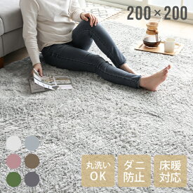 ＜20時～P5倍／SALE詳細はページ内バナーから＞ ラグ シャギーラグ 送料無料 rug 200×200 マイクロファイバーシャギー 北欧 Z4糸 ラグマット シャギー 滑り止め カーペット グリーン 洗える ホットカーペット 夏用 冬用