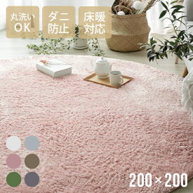 ＜20時～P5倍／SALE詳細はページ内バナーから＞ ラグ 北欧 円形ラグ 送料無料 シャギーラグ rug 200×200 円形 マイクロファイバーシャギー Z4糸 ラグマット シャギーラグ 滑り止め カーペット 洗える 楕円 夏用 冬用