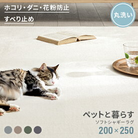 ＜12時～P5倍／SALE詳細はページ内バナーから＞ ペット用ラグ ラグ シャギーラグ 送料無料 rug 200×250 250×200 マイクロファイバーシャギー 北欧 ラグマット シャギー 滑り止め カーペット グリーン 洗える ホットカーペット 夏用 冬用