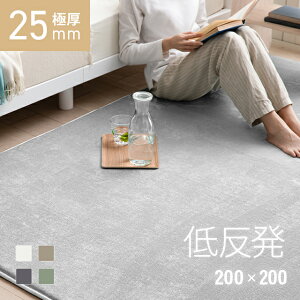 [ȂSiP5{^{12~] O ᔽ 200×200 2 ݃J[ Ɍ 25mm h_j O}bg tl  ~ߕt }CNt@Co[ E^ ᔽO }bg J[ybg 