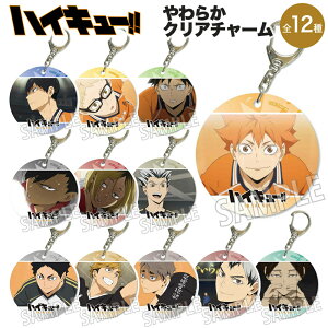 nCL[!! TO THE TOP ObY 炩NA`[ 12 xnEX L[z_[ L[`F[ Xgbv tBMA `[ nCL[ haikyu o[{[ LN^[ Aj  