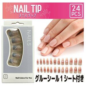 lC`bv 24PCS lCO[V[t lC RX LbY wZ w w wN ̎q LbYRX q ǂ   a v[g 