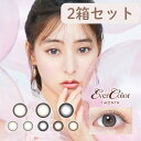 ★ポイント10倍★ カラコン エバーカラーマンスリー【1箱2枚入×2箱セット】 メール便送料無料 マンスリー 1month ワンマンス 度なし 度あり パールベージュ パールスノーグレー ナチュラルブラウン ナチュラルブラック 新木優子