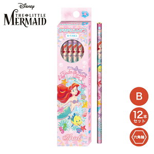 M B 12{ Zp fBYj[ g}[Ch AG Ariel ҂ ҂Zbg ҂ M 12{g wpi  [ ML MLp wZ pi w V