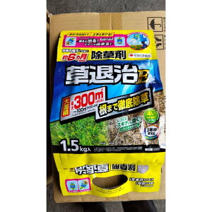 yzz ގE 1.5kg ×1 ݌ɒi ZF  L1Nȏ