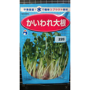 ŊȒP  卪 XvEg  q E^l
