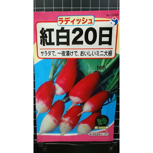 fBbV g 20 ͂ 卪 ~j  q E^l