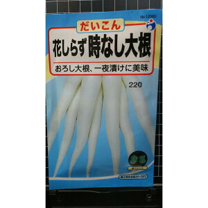 花しらず 時なし 大根 ダイコン 種 種子 ウタネ