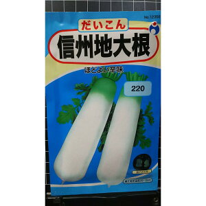 信州 地 大根 ダイコン 種 種子 ウタネ
