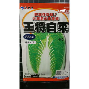   nNTC 85  q E^l