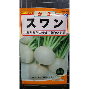 スワン かぶ 種 種子 ウタネ