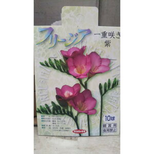 t[WA d炫  1  TJ^̃^l
