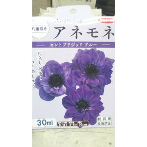 All ZguWbg u[ d炫 1  TJ^̃^l
