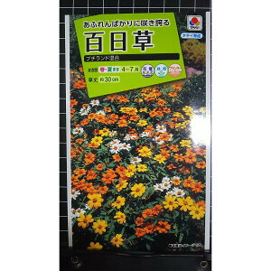 �S���� �v�`�����h ���� �� �X�� ��q �^�L�C��c