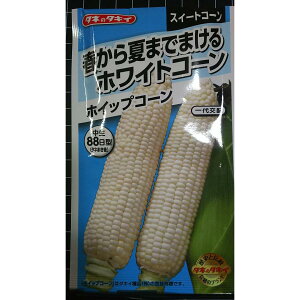 �z���C�g �R�[�� �� �g�E�����R�V �z�C�b�v�R�[�� �� �X�� ��q �^�L�C��c