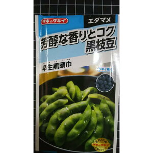 �� �}�� ���� ������ �G�_�}�� �� �X�� ��q �^�L�C��c