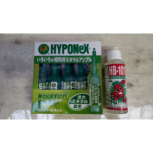 �y�������z���zHB-101 100cc + ��ߊ��͉t�i�A���v���j1�� ���K�i �t���[�� �A�� �����C ��������