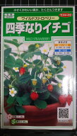 ワイルドストロベリー 四季なり イチゴ 種 種子 herb サカタのタネ