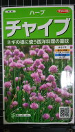 チャイブ エゾネギ Chives ハーブ 種 種子 herb サカタのタネ