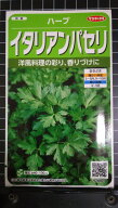 イタリアン パセリ Italian parsley ハーブ 種 種子 herb サカタのタネ