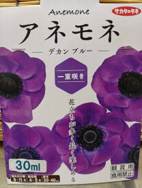 ゆっくり配送 アネモネ デカン ブルー 一重咲き 1袋 球根 サカタのタネ