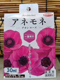 ゆっくり配送 アネモネ デカン ローズ 一重咲き 1袋 球根 サカタのタネ