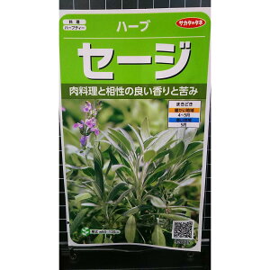 Z[W TrA Sage salvia n[u  q herb TJ^̃^l