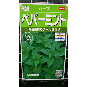 yp[~g peppermint mint n[u  q herb TJ^̃^l