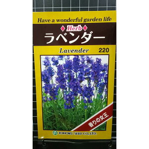 x_[    lavender n[u  q herb g[zN