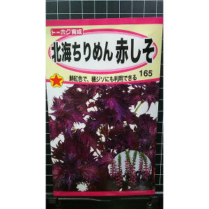 kC ߂   AJV\ red perilla n[u  q herb g[zN