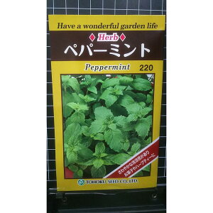 yp[~g peppermint mint n[u  q herb g[zN