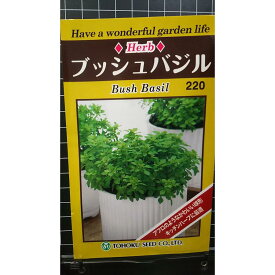 ブッシュ バジル bush basil ハーブ 種 種子トーホク