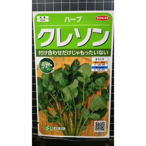 N\ I_ JV watercressl n[u  q herb TJ^̃^l