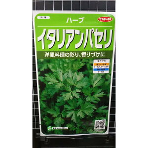 C^A pZ Italian parsley n[u  q herb TJ^̃^l