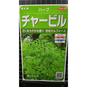 `[r ZtB[ Chervil n[u  q herb TJ^̃^l