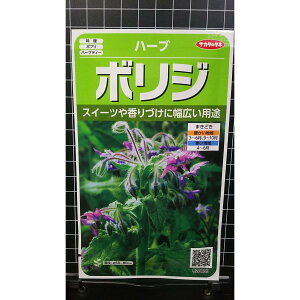 {W  `V Borage n[u  q herb TJ^̃^l