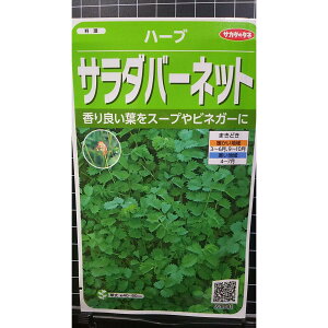 T_ o[lbg I_ RE n[u  q herb TJ^̃^l