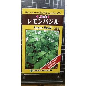  oW lemon basil n[u  q herb g[zN