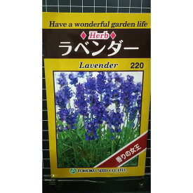 ラベンダー 香り の 女王 lavender ハーブ 種 種子 herb トーホク