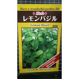 レモン バジル lemon basil ハーブ 種 種子 herb トーホク