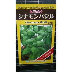 Vi oW cinnamon basil n[u  q herb g[zN