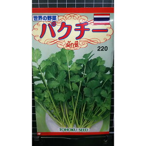 pN`[ RA_[ coriander cilantro n[u  q herb g[zN