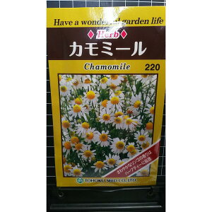 J~[ W[}n J}C chamomile n[u  q herb g[zN