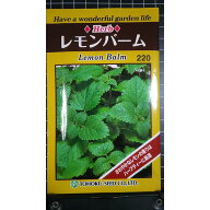 レモンバーム Lemon balm ハーブ 種 種子 herb トーホク