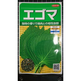 エゴマ シソ の 仲間 焼肉 に えごま 種 種子 サカタのタネ